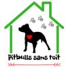 Logo of the association association pitbulls sans toit